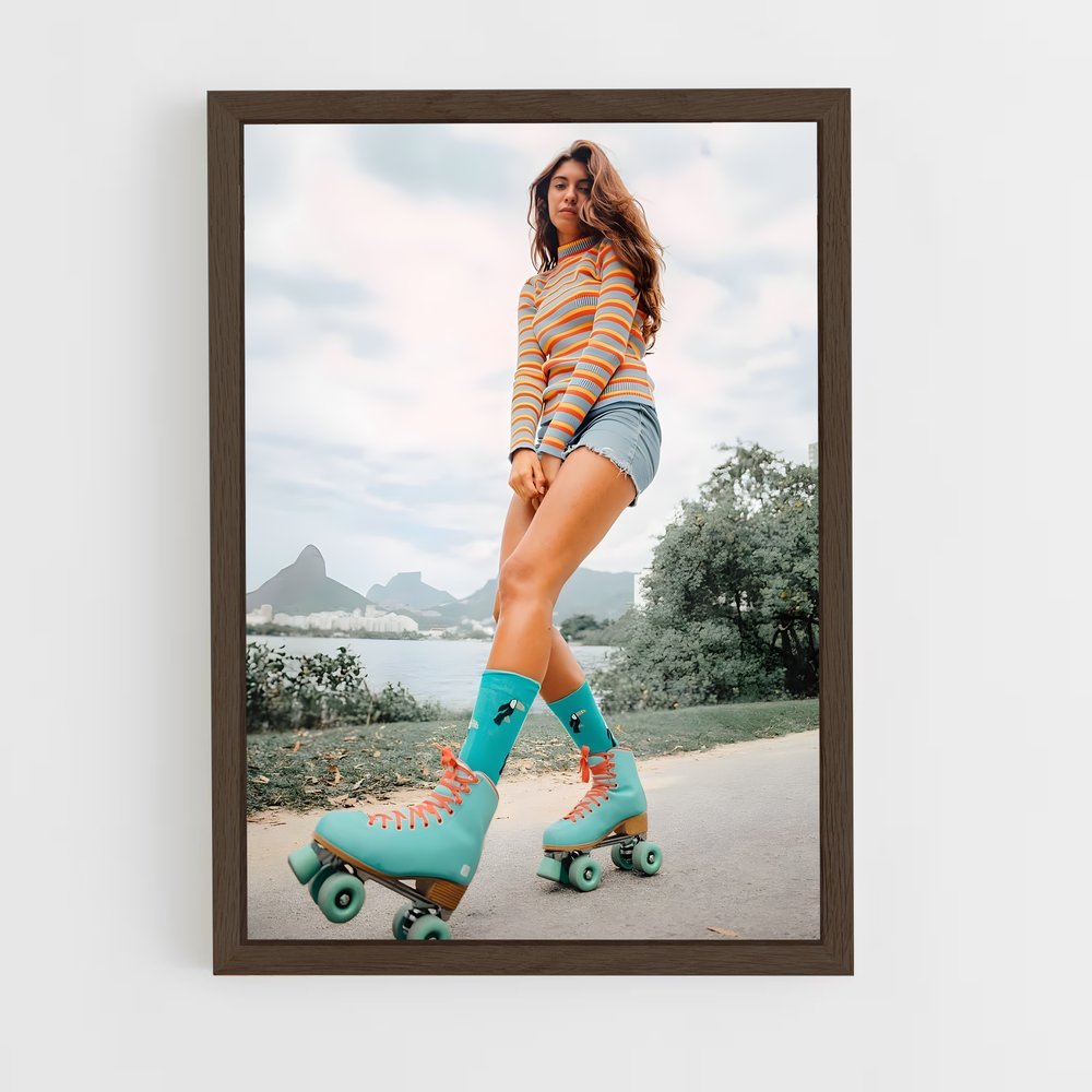 Poster Usa roller (vue 5)